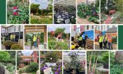 Gardens and products from HTA members at the RHS Chelsea Flower Show 2025